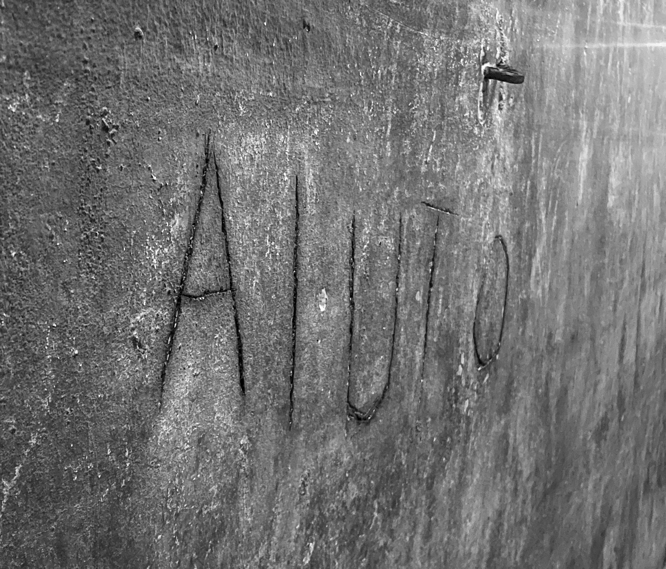 AIUTO” – Scratched into a wall in a WWII bunker beneath Naples, supposedly by a child, seeking safety underground.